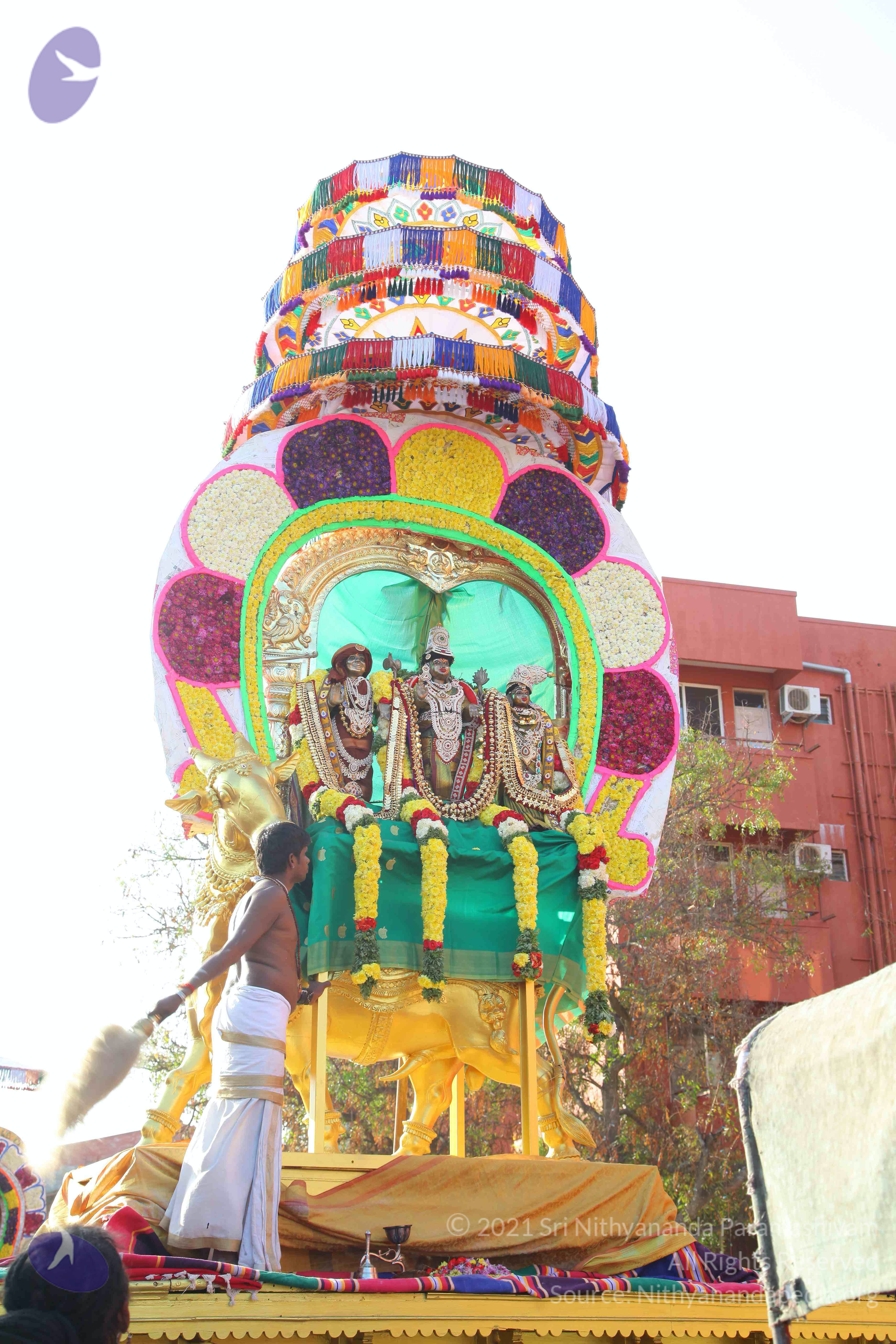 20161204_Photo_1032_IMG_3279_CMP_WM